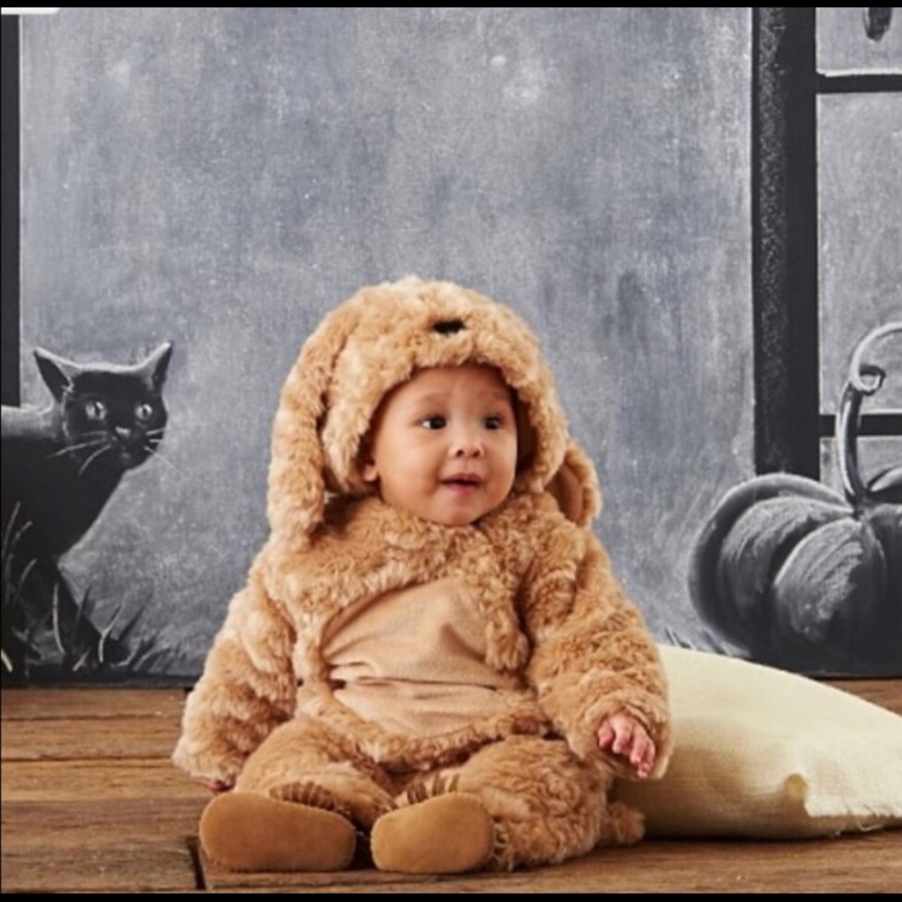 Pottery Barn Kids puppy costume 0-6 months